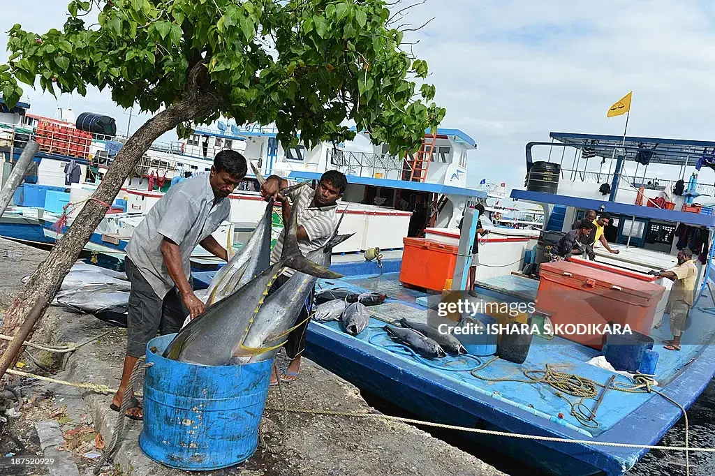 CounterPoint